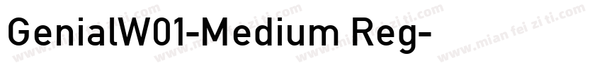 GenialW01-Medium Reg字体转换